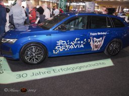 Vienna Drive 15.01.2026